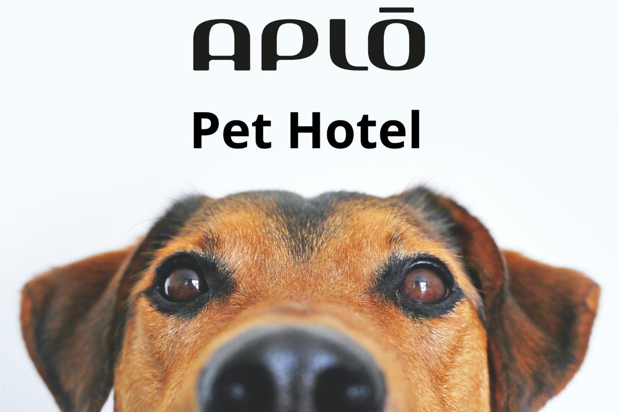 Hotel Aplo - Breakfast Experience Червия Екстериор снимка